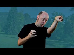 Deaf Dog in the Park