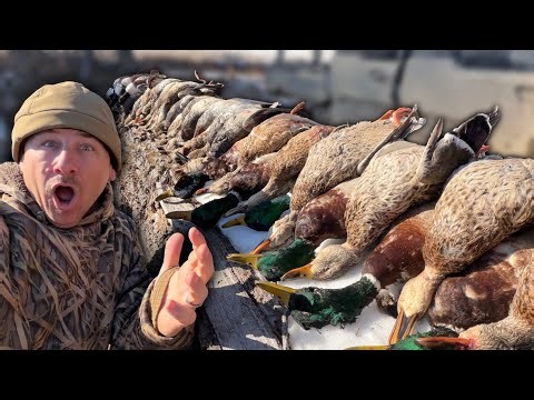 This Louisiana Boy Was NOT Ready for Icy Duck Hunting (catch and cook)
