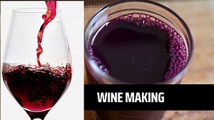 Making wine at home is easier than you think : Here is how to do it