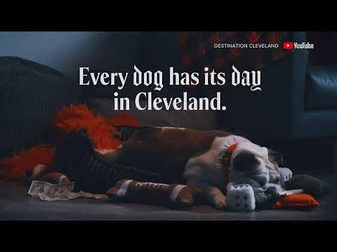 Destination Cleveland releases Puppy Bowl ad putting city in the spotlight