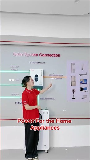 ☀️🔋 **How the SAKO Solar Energy System Works** ⚡🏡
