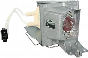 Projector Lamp Replacement for Optoma S310e S310X S312 S315 S316 W300 W310 W312 W316 X312 X315 X316 Powered by P-VIP 190W OEM Bulb - 1 Year Warranty