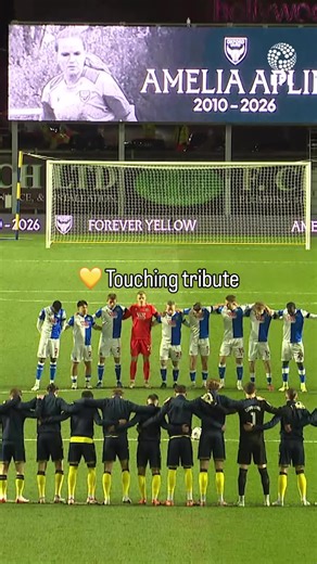 Remembering Amelia Adams: A Heartfelt Tribute