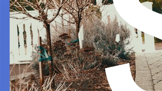 How Geolantis.360 enables mega-tunnel projects in Europe | PelicanCorp posted on the topic | LinkedIn