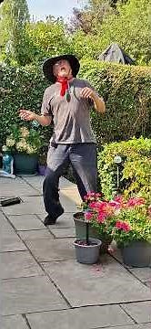 Rise Slow by Kimo Sounds and Mr Khan dances #dance #mrdancer #cleaning #garden