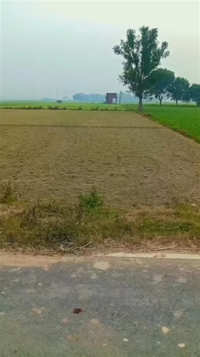 Dinwsh Kumar on Instagram: "Dil mein hamesha pyar ka Mausam ❤️♥️♥️"