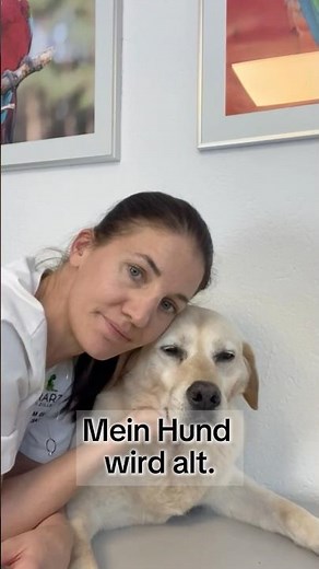 Mein Hund wird alt - Tierärztin erklärt wichtige Tipps für Seniorhunde