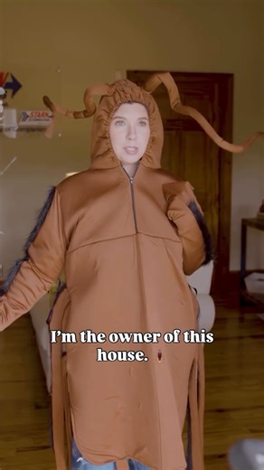 Arrow Exterminators on Instagram: "Don’t let pests take over your home. Call Arrow Exterminators today! 🪳"