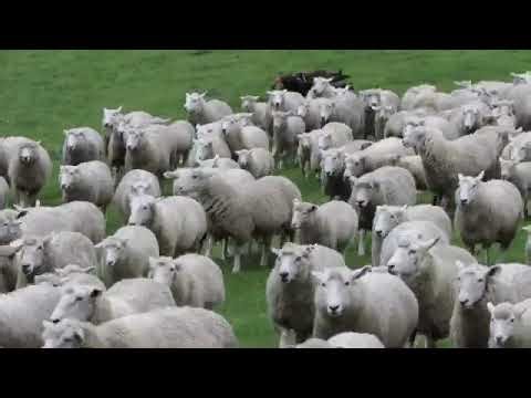 How precision force measurement is transforming modern farming