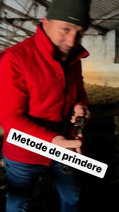 21K views · 5.3K reactions | Cel mai ușor!! | Eugen Danca | Facebook