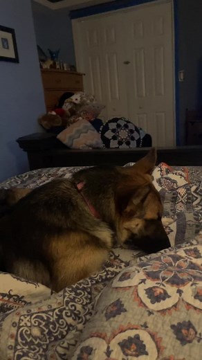 Jessica Gaines on TikTok