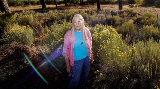 Friends of Big Bear Valley Executive Director Sandy Steers dies