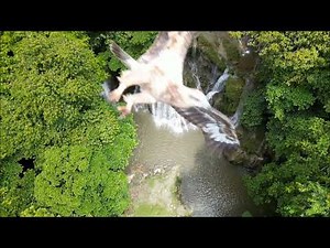 Eagle attacking Drone - in slow motion