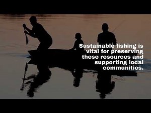 Sustainable Fishing Practices in Fiji: Protecting Marine Life for the Future