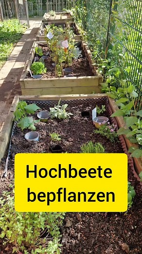 Hochbeete bekommen upgrade! Mit Schulkindern bepflanzen wir Hochbeete neu. 1x Blumenwiese 1x Stauden 1x Gemüsepflanzen 1x Kräuter Was pflanzt ihr so in eure Hochbeete? Deine Gärtnermeisterin #gartenbau #hochbeete #schulprojekt #rheinmain #frankfurt #mainz #wiesbaden #Mörfelden-Walldorf #gross-gerau | Yvonne Pfeiffer Gartenbau Gartenpflege-Abo