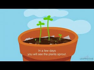 How to plant Seedpaper instruction video