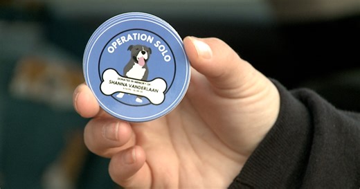 Woman killed saving stray dog honored through Muskegon County nonprofit