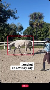 44 reactions | Why I love lunging: I’m a big fan of lunging! There...