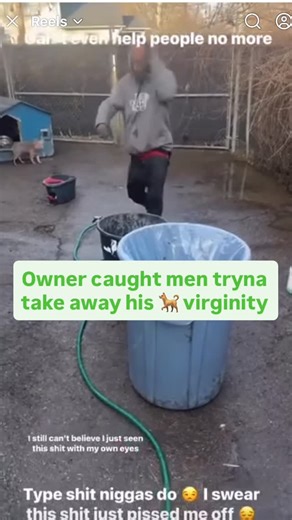 SYLK Amshouse on Instagram: "Man stopped worker from trying to Rap3 his dog .Most people treats their animals as family so he’s lucky the man didn’t cause any harm to him cus that’s wild asf. #dogs #doglovers #puppies #newyorkcity #caughtintheact"