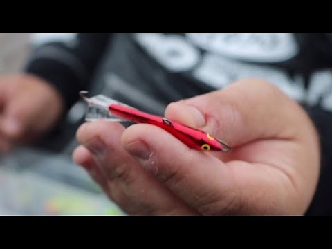 Jigging Rap color selection tip