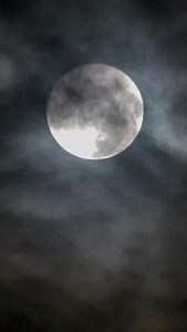 If you have clear skies tonight, look up to see the #WolfMoon, the first Full Moon of 2024! 🐺🌕 | The Weather Network