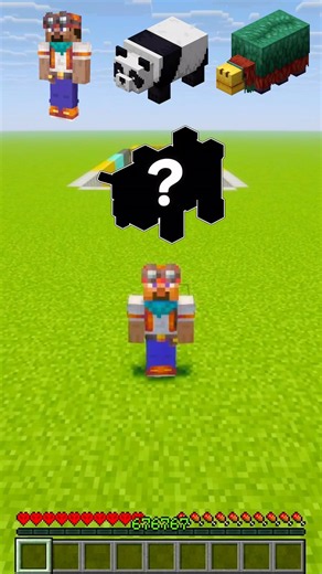 Which Minecraft Mob Can Conquer This Giant Drop? 🐼❓ #Minecraft #MobChallenge