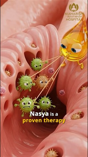 Maharishi Ayurveda Hospital on Instagram: "Nasya therapy is a powerful Ayurvedic treatment that helps eliminate accumulated toxins from the head and nasal passages using carefully selected medicated oils. In today’s environment, where pollution levels are constantly rising, Nasya offers natural relief for the sinuses, respiratory system, and overall head health supporting clearer breathing and balance. Comment ‘NASYA’ to know more. [nasya, sinus, respiratory illness, health, mucus, toxins, delhi