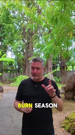 Burn season. If you’re thinking about moving to Chiang Mai, this is the one thing you need to know before you do. We knew about it before we moved here. We came anyway. Full explanation — what it actually is, when it happens, how we plan around it — up on YouTube now ❤️ #FYP #chiangmai #nivinthailand #expatlife #livinginthailand