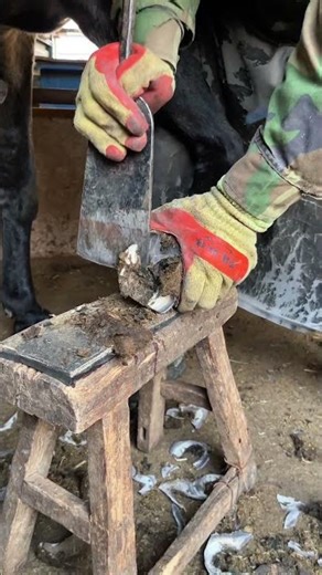 On January 13th in 2026, the master repaired the驴蹄 with proficient skills, fast, precise and steady.