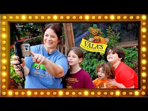 Vala's Fall Festival CELEBRATION: BEST.DAY.EVER!