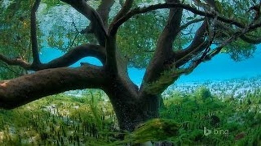 Top 10 Images Bing Releases as 2013 Wallpaper Screensaver