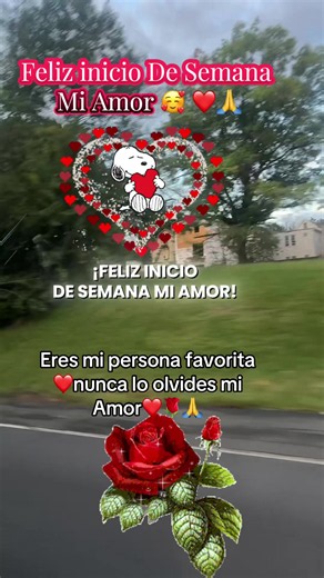 Germancito M..❤️L..💖🇺🇸🇪🇨 (@germancitoml)’s video of Happy Monday