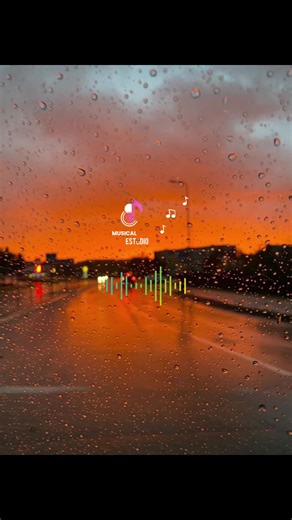 Transplante🎶😪❤️‍🩹 #musical #sertanejo #brasil #videoviralitiktok #viral