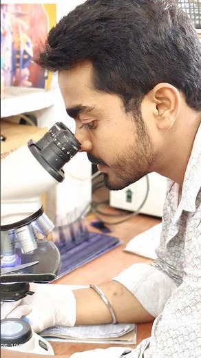 Yeast Cells Under Microscope |. Amazing View of Yeast Cells (Fungi) Under Microscope 🔬#microscopic