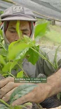 11 Million Trees Program in Timor-Leste