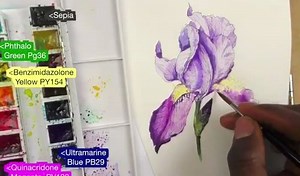 New Video!!! 🌸🌼🌺Ink & watercolor study of an iris! Using my same 14 color palette. I highlighted the colors I used. Click the link to watch it Now! www.youtube.com/alphonsodunn | Alphonso Dunn