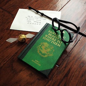 Fantastic Beasts Where and to Find Them – One of Harry Potter's text books for your Hogwarts library