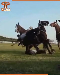 205K views · 924 reactions | ADHD Memes Fans on Reels | Facebook