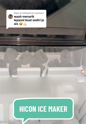 Hicon Ice Maker: Cleaning and Usage Guide