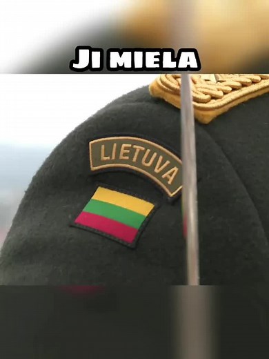 Mylimoji Lietuva. 🇱🇹 #Lietuva #Lietuvybė #Lietuviai #Tautiškumas #Patriotai #LietuvosVėliava #Kariuomenė #Tauta #Baltai #FYP #foryoupage