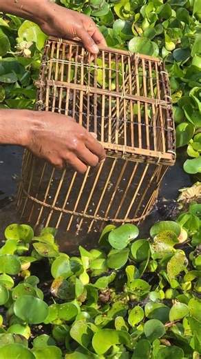 Perfect Cast, Perfect Catch! Fishing Shot of the Day
