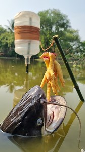 102K views · 455 reactions | Plastic bottle fish trap with chicken leg underwater #fishing #fish #video #trap | Discovery Site | Facebook