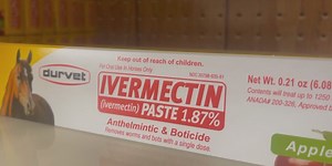 Health officials are concerned about increased use of Ivermectin to treat COVID