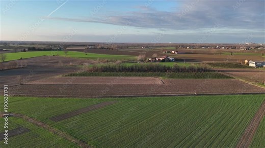 Aerial view of intensive agriculture in the Po Valley, Italy, showing winter cereal crops, fallow fields, rectangular parcels, and mechanized farming patterns shaped by fertile alluvial soils