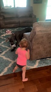 11M views · 654K reactions | This toddler loves being chased by her dog friend  ViralHog | MetDaan Animals | Facebook