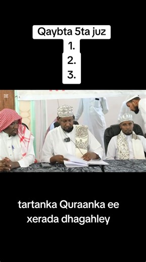 Exploring Somali and Chinese Cultural Trends on TikTok