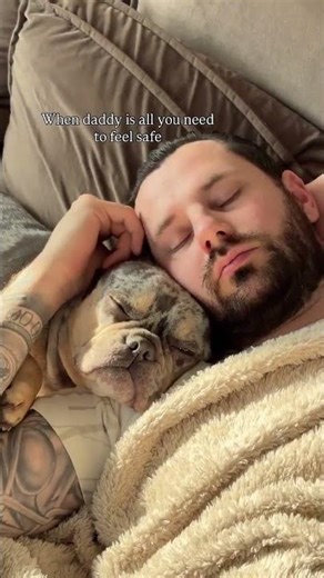 Is your dog a daddy’s girl/boy or mommy’s girl/boy? 🫣 Champie her fav is dogdad 🥺 #frenchbulldog