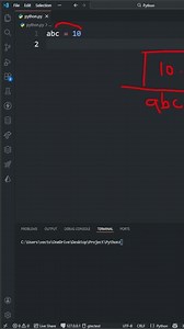 Think Python variables are boring? Wait till you see THIS 😄