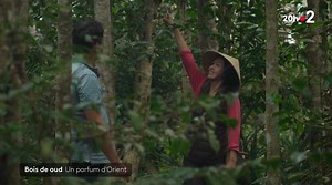 8.7K views · 259 reactions | 蝹Pour son odeur venue d’ailleurs et...