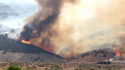 What are the symptoms of wildfire smoke inhalation?